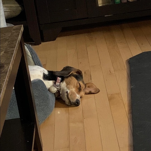 Meet your Posher, Jessica - Picture 1 of 1